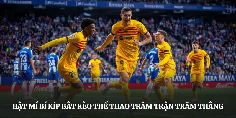 Bật mí bí kíp bắt kèo thể thao trăm trận trăm thắng