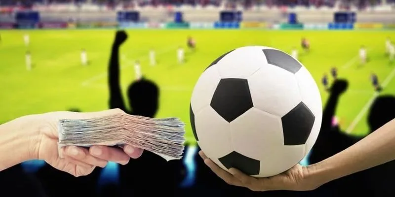 Giao diện bắt mắt người dùng