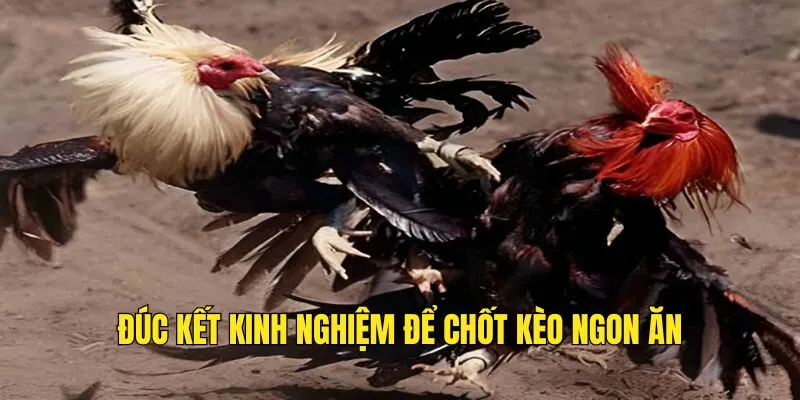 Sự bình tĩnh giúp cá cược hiệu quả