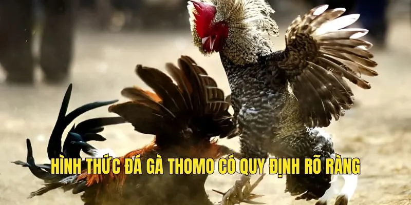 Hình thức chơi có quy định rõ ràng