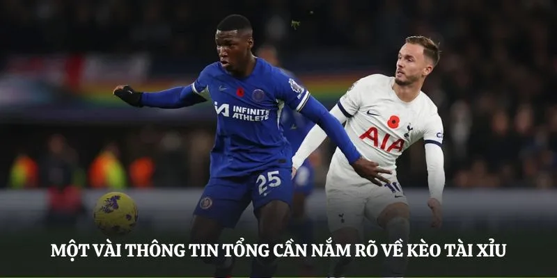 Một vài thông tin tổng cần nắm rõ về kèo tài xỉu